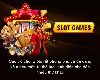 Lãnh đạo cấp cao của Singbet
